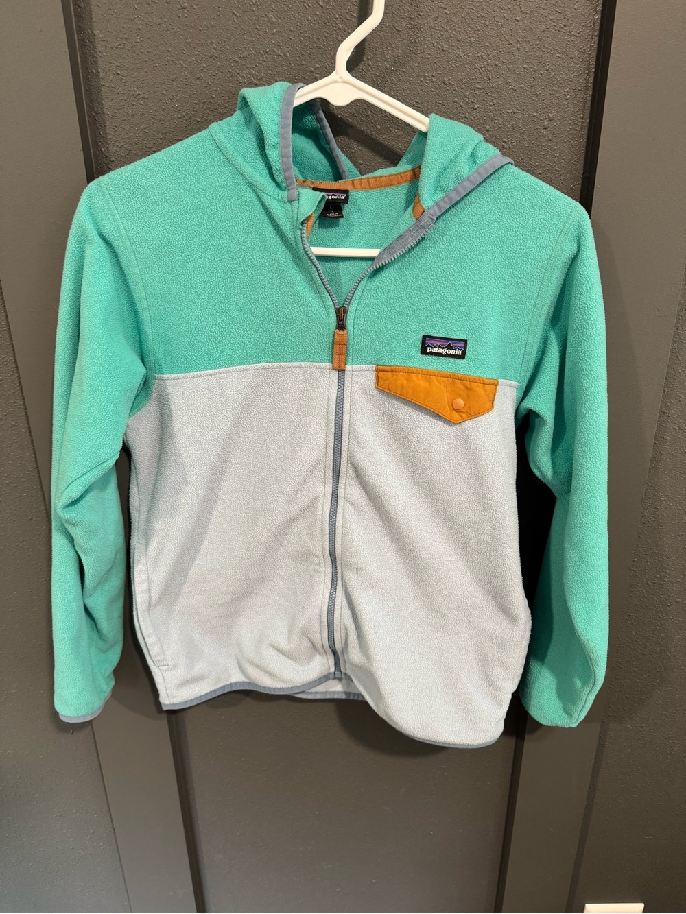 Patagonia Kids Micro D Snap Fleece Hoody Jacket